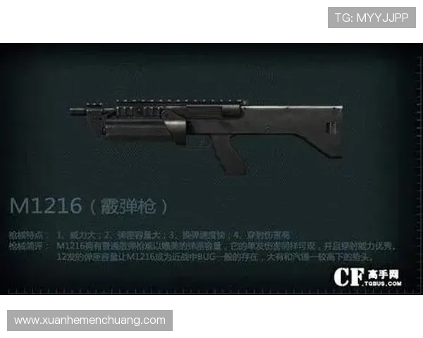 《宠儿在穿越火线的枪火世界中崭露头角成就传奇》