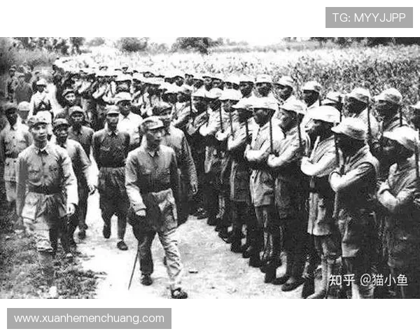 上海极限运动队整体压制打法深度分析与战术解读